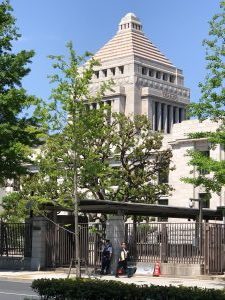 衆議院議員で外務副大臣のあべ俊子様にインタビューをさせていただきました