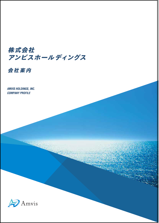 株式会社アンビスホールディングス　会社案内パンフレット